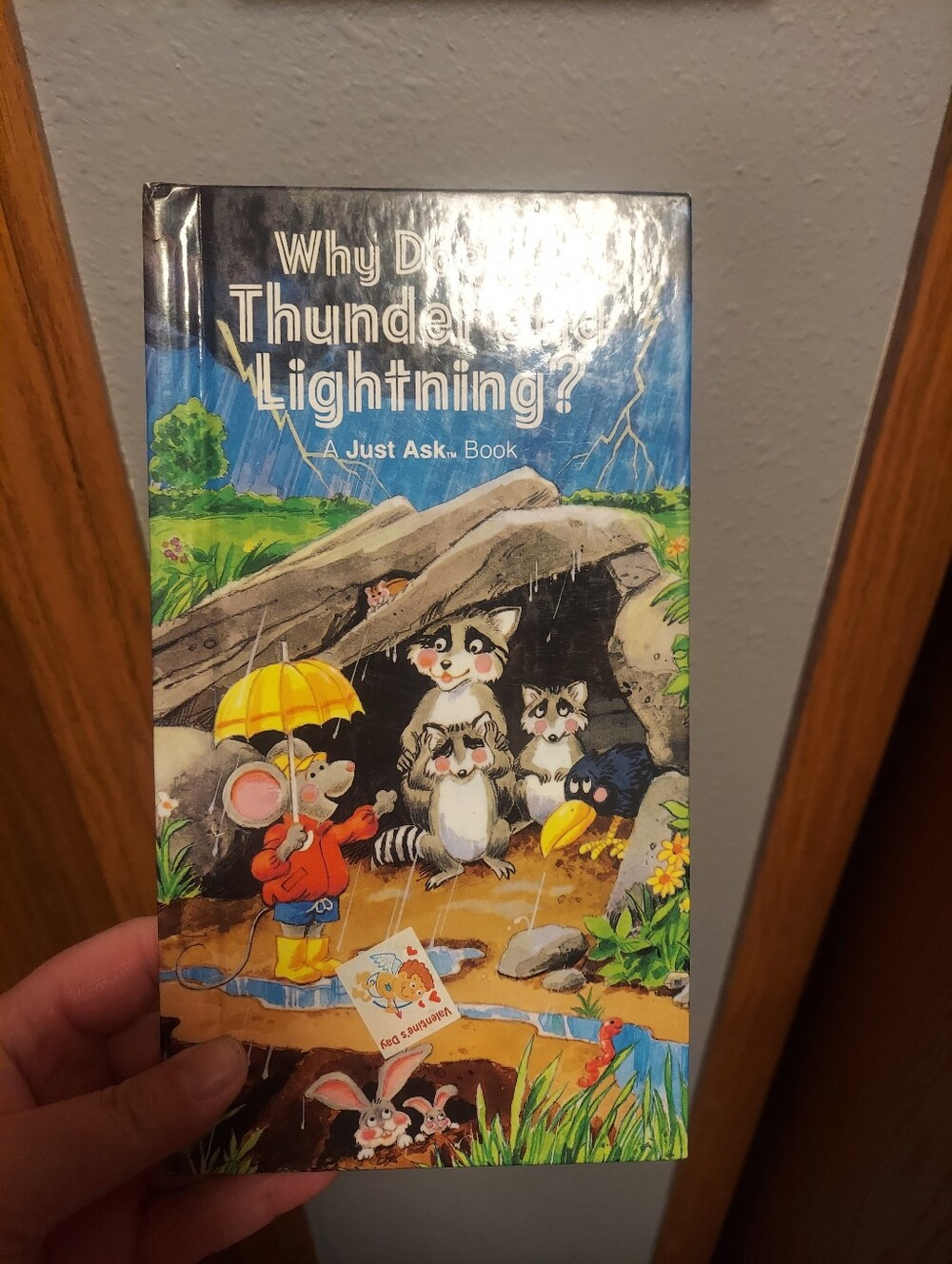 Vintage Why Does It Thunder and Lightning? A Just Ask Book Weekly Reader Hardcov